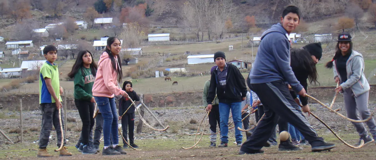 Raya final del palin mapuche